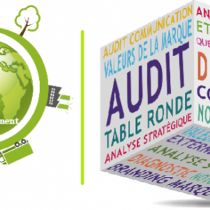 Auditeur et analyse de l’environnement