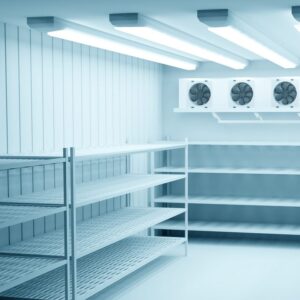 CONDUITE ET MISE AU POINT DES CHAMBRES FROIDES